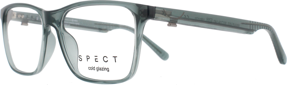 Spect Brave grau mit Sportbügel